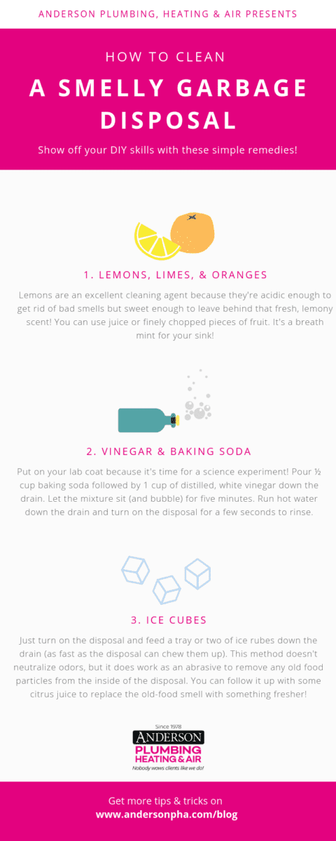 DIY Clean And Rid Smells From A Garbage Disposal